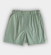 Green Gingham Check Cotton Poplin Boxer Shorts